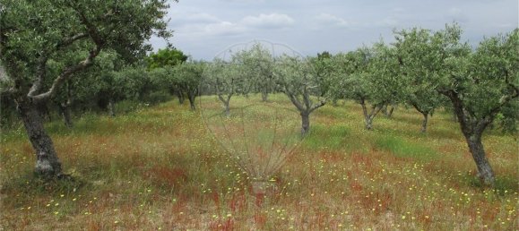 9 Schlafzimmer Haus in Castelo Branco, Portugal, Nr. 73905 33