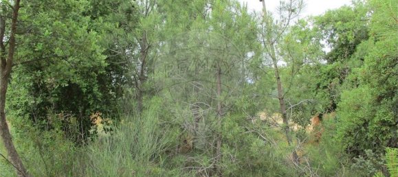 9 Schlafzimmer Haus in Castelo Branco, Portugal, Nr. 73905 39