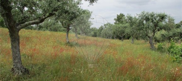 9 Schlafzimmer Haus in Castelo Branco, Portugal, Nr. 73905 37