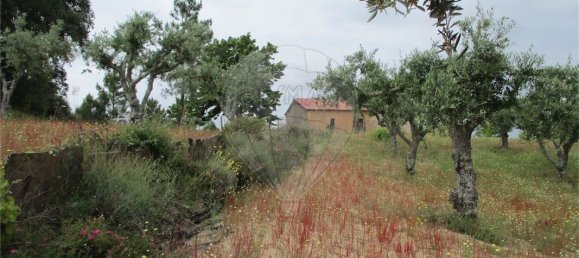 9 Schlafzimmer Haus in Castelo Branco, Portugal, Nr. 73905 22