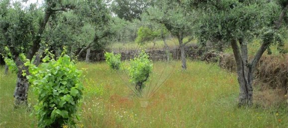 9 Schlafzimmer Haus in Castelo Branco, Portugal, Nr. 73905 30