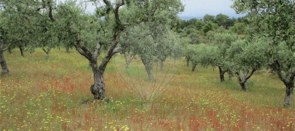 9 Schlafzimmer Haus in Castelo Branco, Portugal, Nr. 73905 25