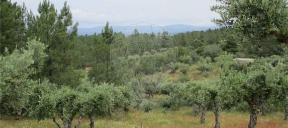 9 Schlafzimmer Haus in Castelo Branco, Portugal, Nr. 73905 28