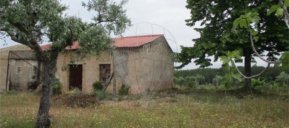 9 Schlafzimmer Haus in Castelo Branco, Portugal, Nr. 73905 20