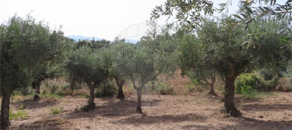 9 Schlafzimmer Haus in Castelo Branco, Portugal, Nr. 73905 16