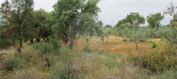 9 Schlafzimmer Haus in Castelo Branco, Portugal, Nr. 73905 41
