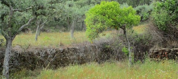 9 Schlafzimmer Haus in Castelo Branco, Portugal, Nr. 73905 31