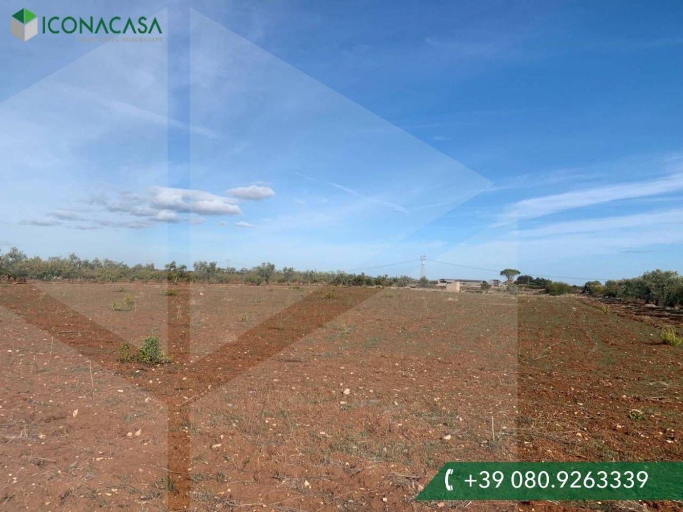 17936m² Land in Casamassima, Italy No. 29370