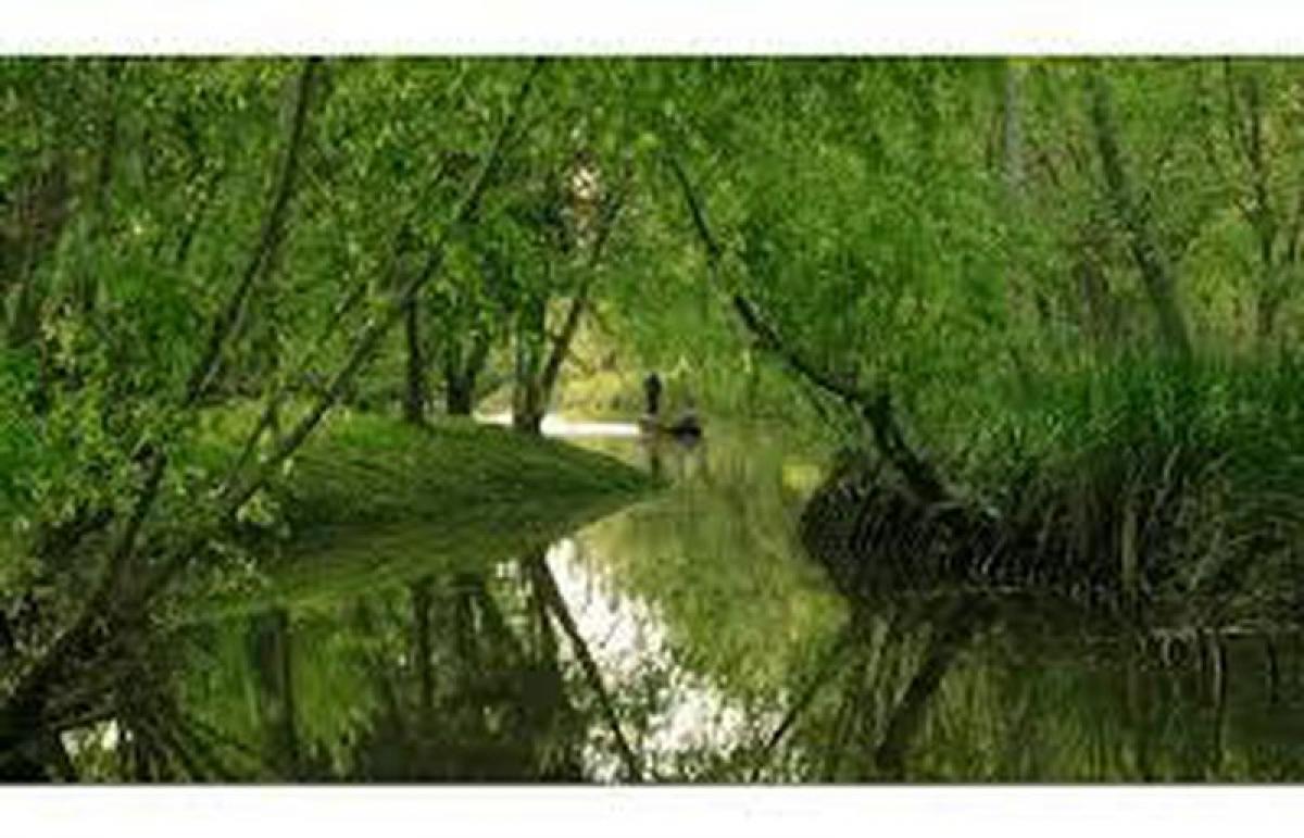  Commercial property in Tigre, Argentina No. 107835