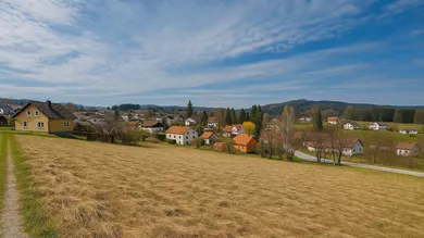  Land in Bad Grosspertholz, Austria No. 212770
