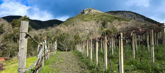 4 rooms House in San Giovanni a Piro, Italy No. 269429 2