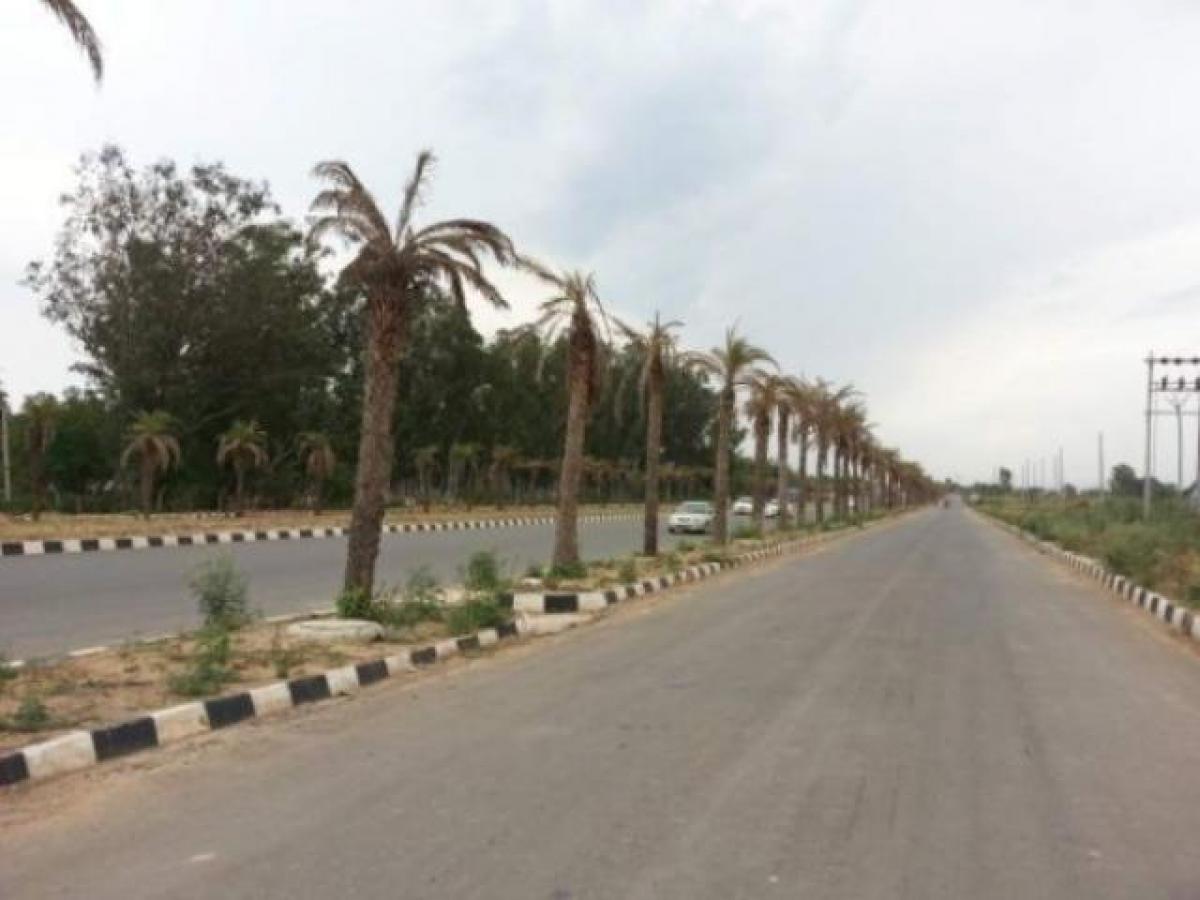  Land in Chandigarh, India No. 35532