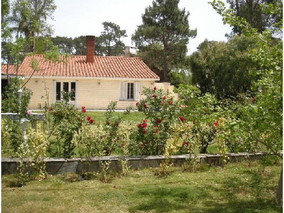 3 bedrooms House in Maldonado, Uruguay No. 8808