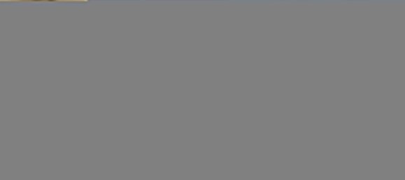 7 Schlafzimmer Villa in Santarem, Portugal, Nr. 127177 21