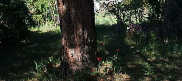 Terrain à Kaulsdorf, Germany No. 253361 3