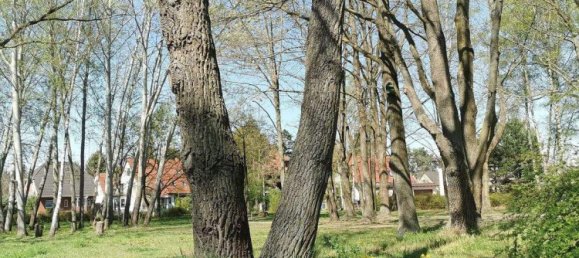 Terrain à Kaulsdorf, Germany No. 253361 5