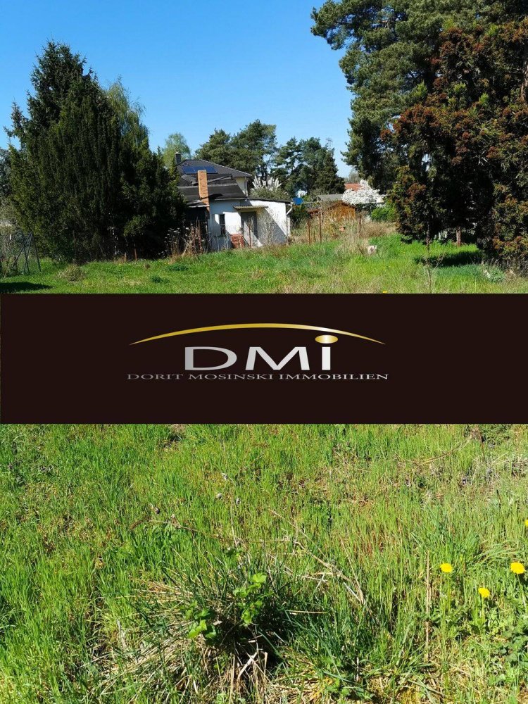 Terrain à Kaulsdorf, Germany No. 253361