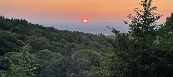 3 bedrooms House in Baden-Baden, Germany No. 219258 22