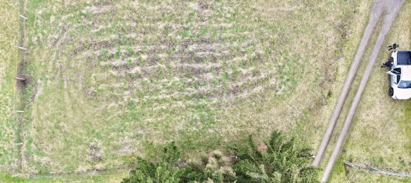 Terreno en Saale-Orla, Germany No. 189801 9