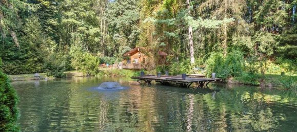 9173m² Land in Peterskirchen, Austria No. 193842 2