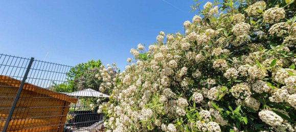 6غرفة منزل في Leitzersdorf, Austria رقم 170424 16