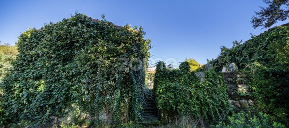 4 Schlafzimmer Haus in Felgueiras, Portugal, Nr. 86934 13