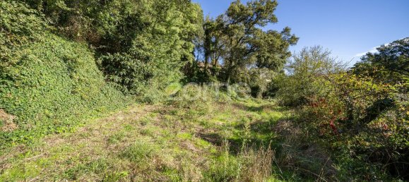 4 Schlafzimmer Haus in Felgueiras, Portugal, Nr. 86934 19