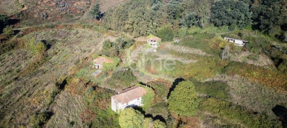 4 Schlafzimmer Haus in Felgueiras, Portugal, Nr. 86934 26