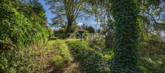 4 Schlafzimmer Haus in Felgueiras, Portugal, Nr. 86934 17