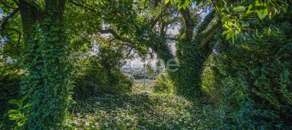 4 Schlafzimmer Haus in Felgueiras, Portugal, Nr. 86934 23