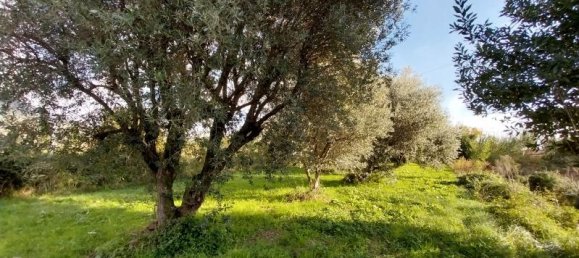 8 rooms House in Pietrasanta, Italy No. 233851 4