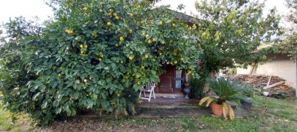 8 rooms House in Pietrasanta, Italy No. 233851 8