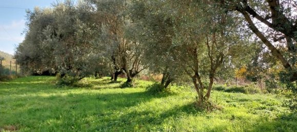 8 rooms House in Pietrasanta, Italy No. 233851 6