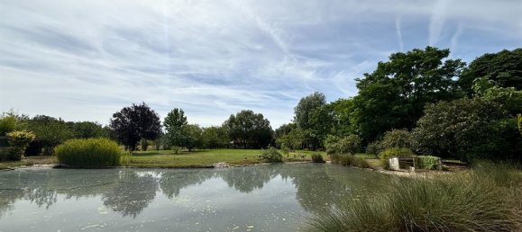3 bedrooms House in Ligny-le-Ribault, France No. 38963 2