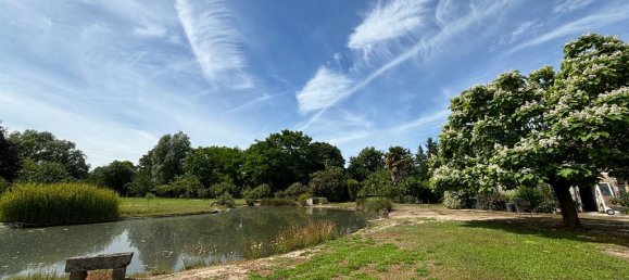 3 bedrooms House in Ligny-le-Ribault, France No. 38963 7