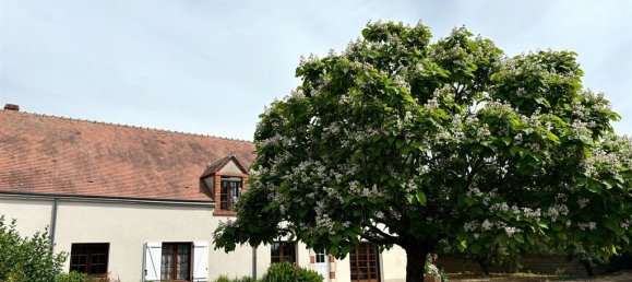 3 bedrooms House in Ligny-le-Ribault, France No. 38963 3