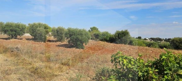 2-salle Maison à Locorotondo, Italy No. 23533 10