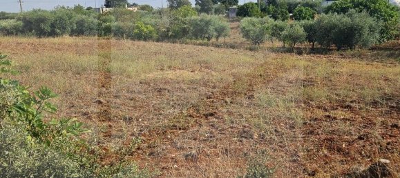 2-salle Maison à Locorotondo, Italy No. 23533 8