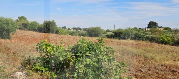 2-salle Maison à Locorotondo, Italy No. 23533 9