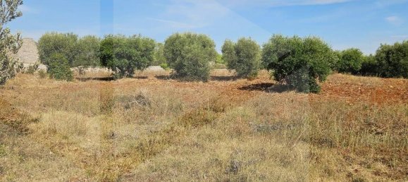 2-salle Maison à Locorotondo, Italy No. 23533 11