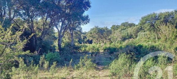 Terreno em Figari, France 12588 m² N.º 89213 7