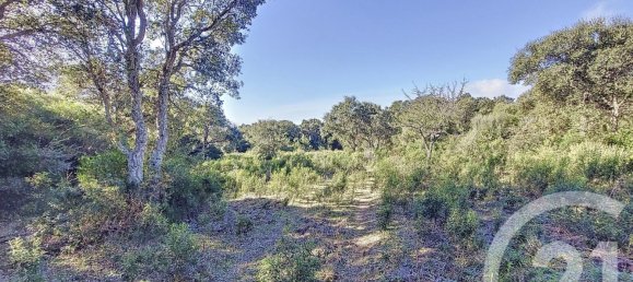 Terreno em Figari, France 12588 m² N.º 89213 8