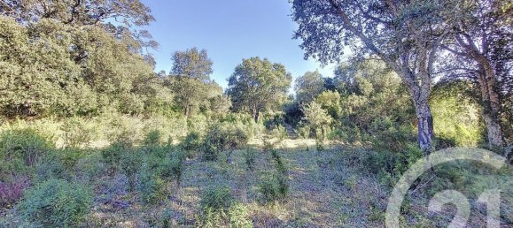 Terreno em Figari, France 12588 m² N.º 89213 9