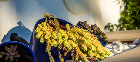 7 bedrooms Villa in Cadiz, Spain No. 26514 34