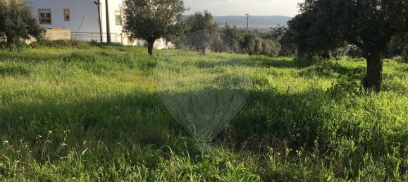 1 bedroom House in Montalvo, Portugal No. 185355 7