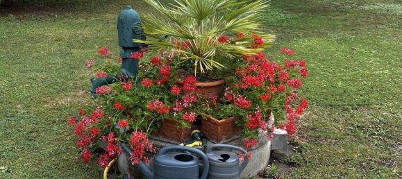 3غرفة بنغالو في Trausdorf an der Wulka, Austria رقم 245489 23