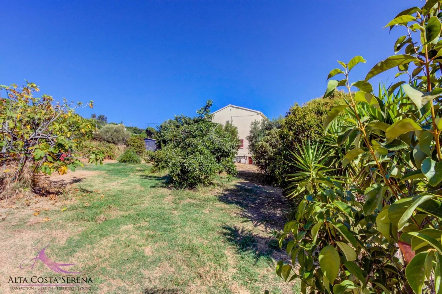 5 Schlafzimmer Villa in Pietroso, France, Nr. 81642