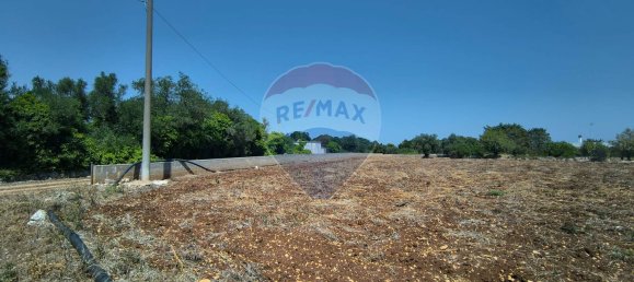 3-Zimmer Haus in Polignano a Mare, Italy, Nr. 274334 9