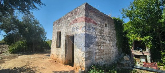 3-Zimmer Haus in Polignano a Mare, Italy, Nr. 274334 4