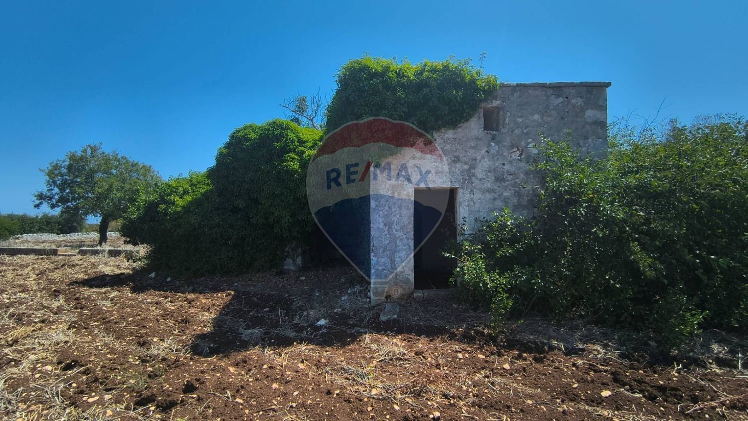 3-Zimmer Haus in Polignano a Mare, Italy, Nr. 274334